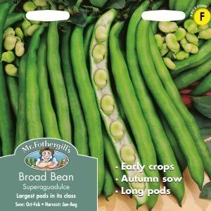 Mr. Fothergills Oh Sow Simple Seeds Radish Long - Groceries